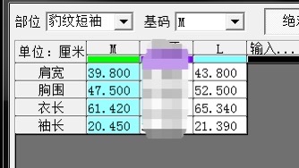 0770 新款 Mardi 豹紋色
