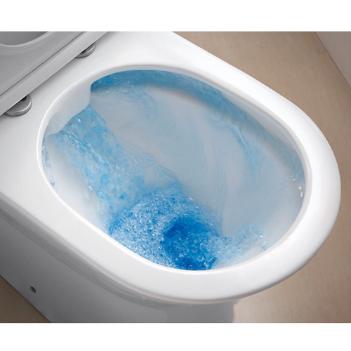 Richford  R690 Rimless 24吋 納米 自由咀座廁 