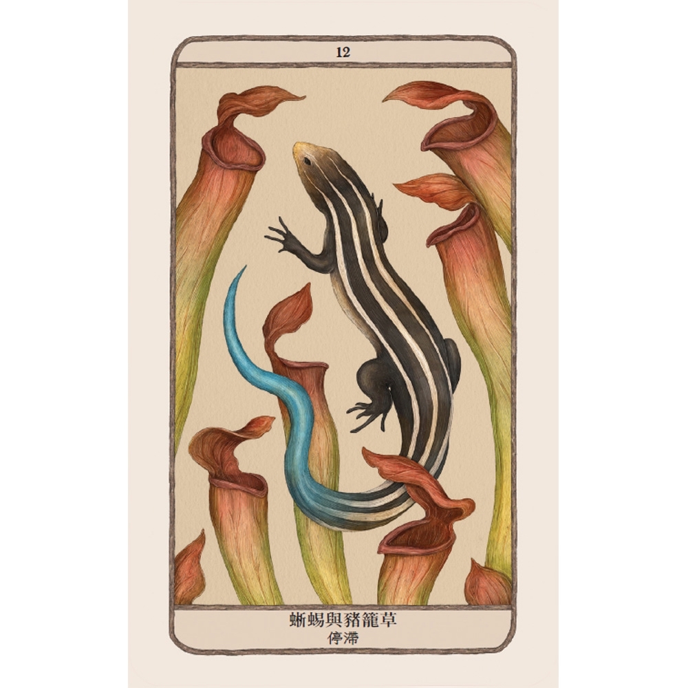 森林守護者神諭卡