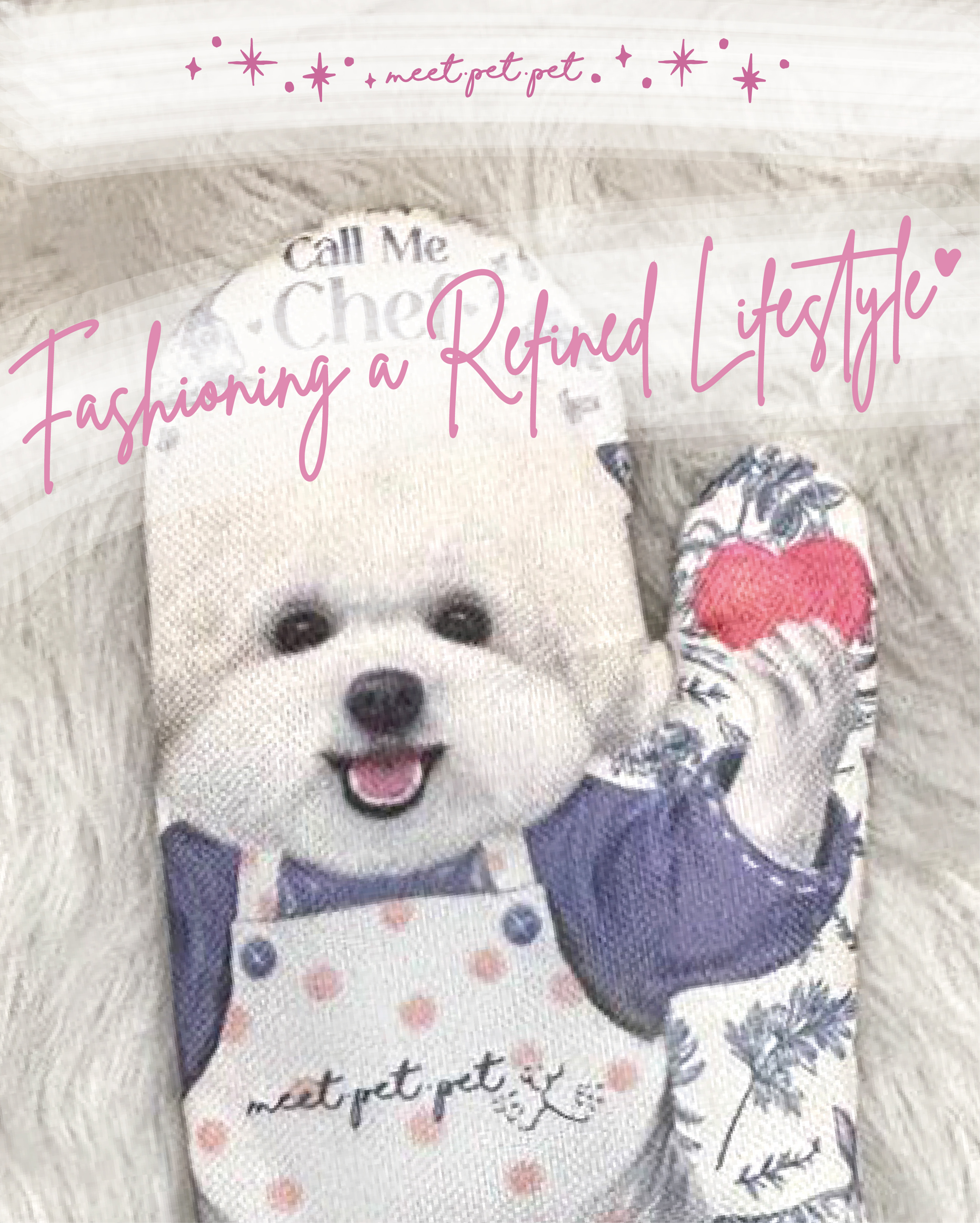 ⋆ 比熊 ⋆ 隔熱手套 ⋆ Bichon ⋆