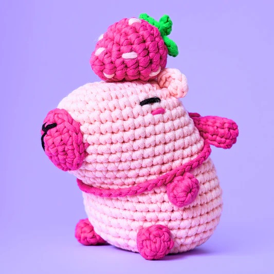 📦訂購 美國代購 Mini Crafts Lily The Strawberry Capybara Crochet Kit DIY 士多啤梨水豚鉤針編織裝飾套裝 