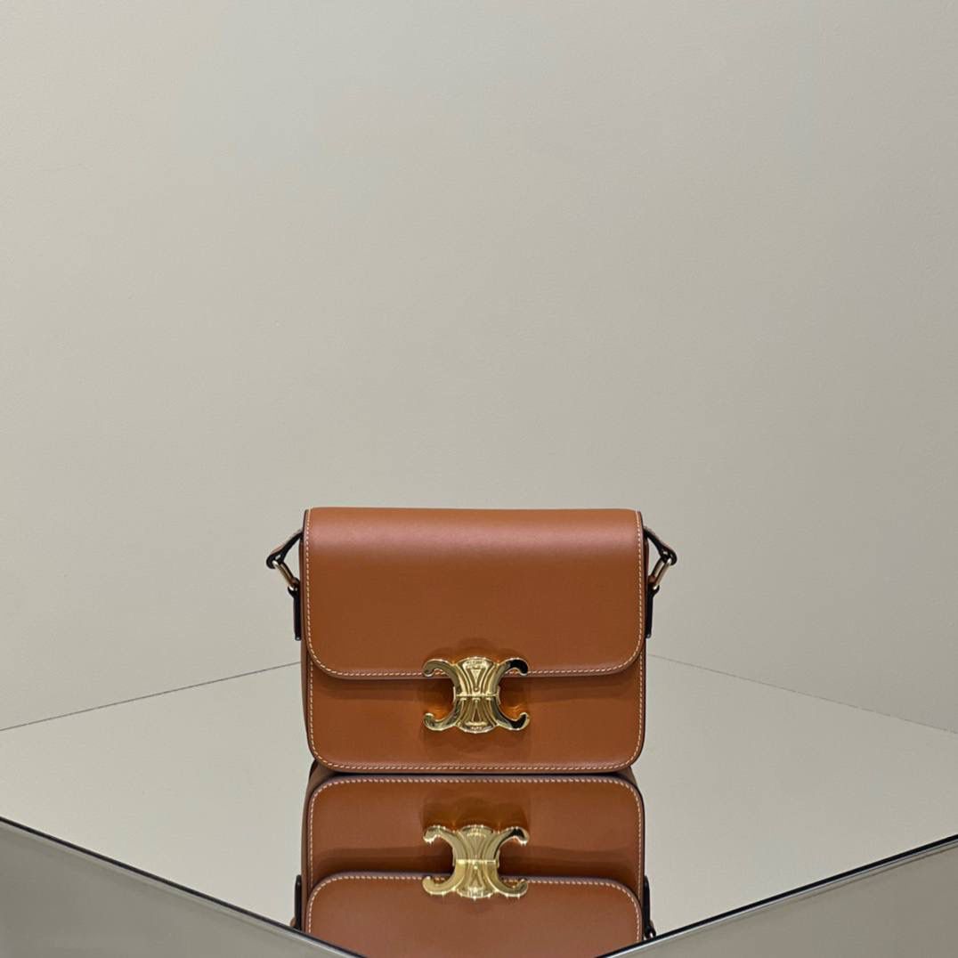 🔥大货实拍图 𝗖𝗘𝗟𝗜𝗡𝗘 ♥ 𝗧𝗘𝗘𝗡 𝗧𝗥𝗜𝗢𝗠𝗣𝗛𝗘 型号：188423 中号尺寸：22.5*16*7cm 小号尺寸：18.5*14*6cm