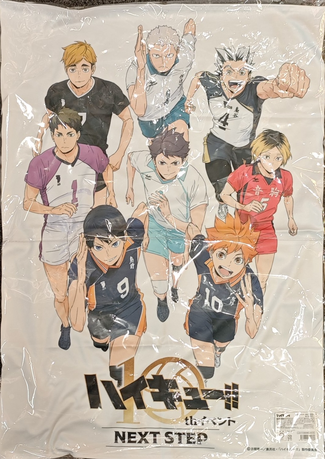 排球少年十週年 Next Step 布海報