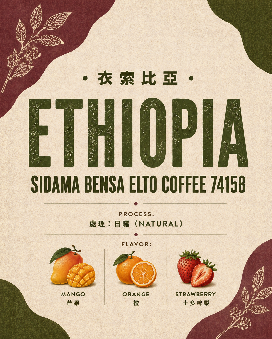  【衣索比亞Ethiopia】Sidama Bensa Elto Coffee 74158