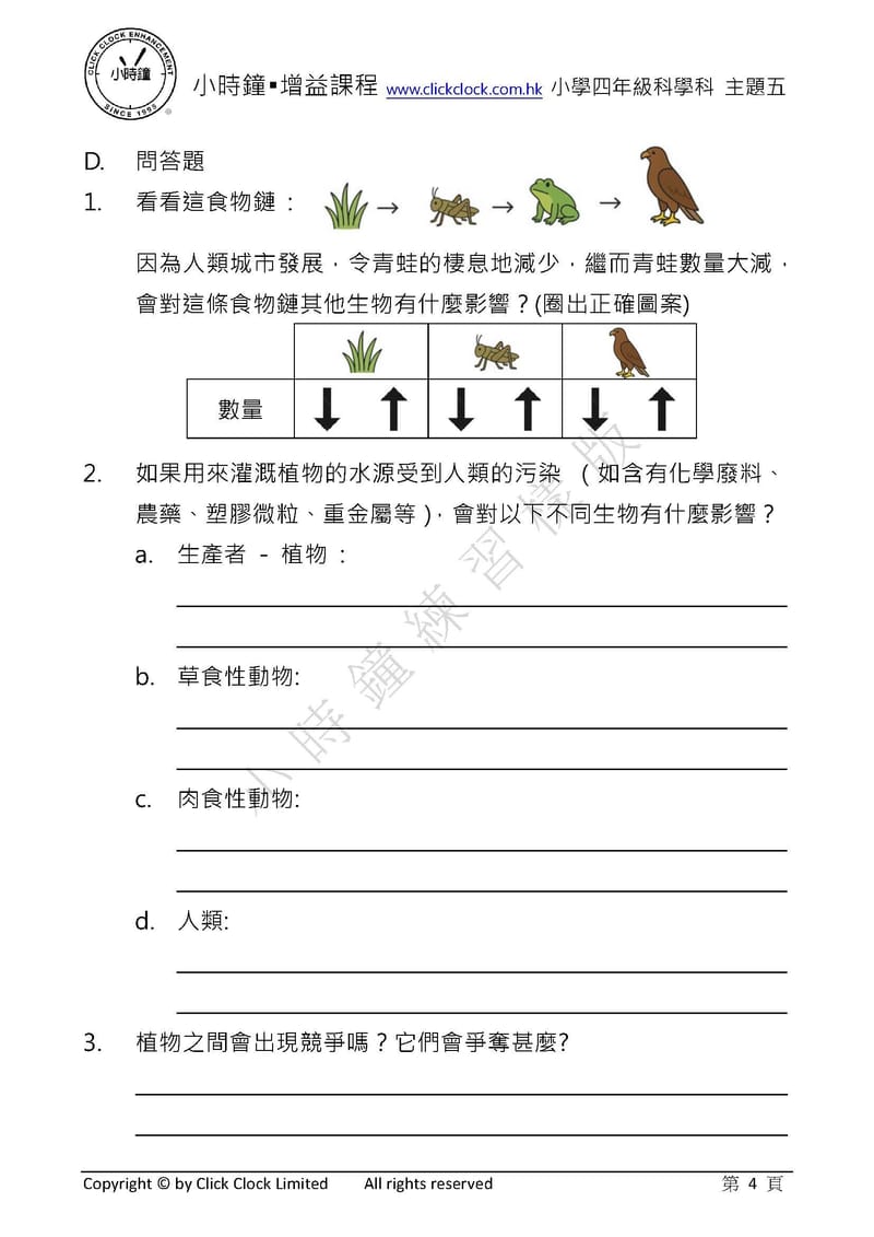  模擬試卷 (四年級)
