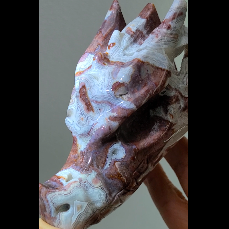 Mexican red agate dragon skull.