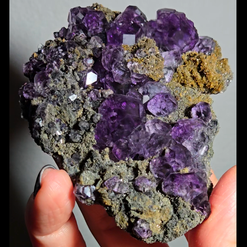 Tanzanite fluorite with perfect dodecahedrons - FL368