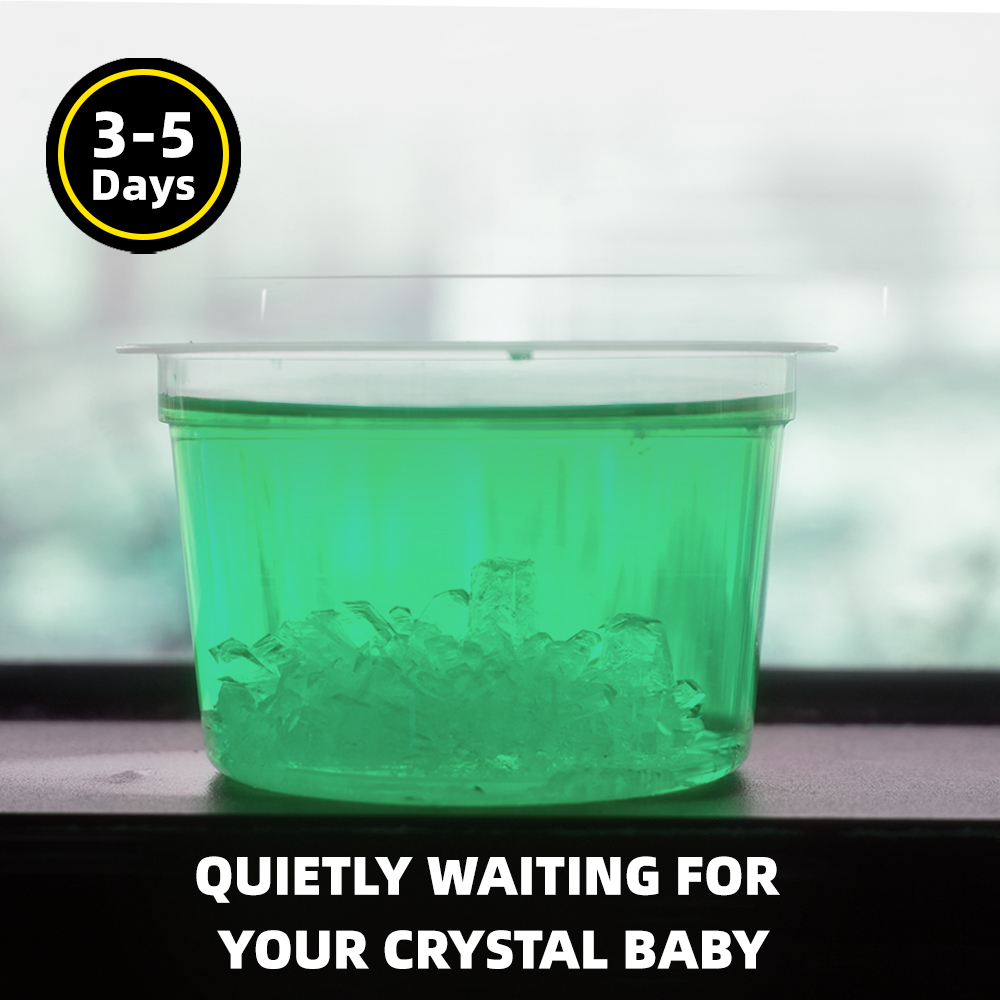 Big Bang Science ~ Make your own Crystal Growing