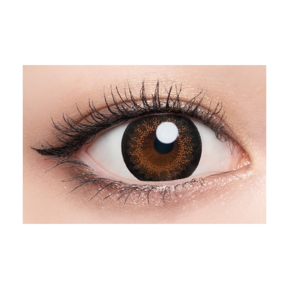 Loveil - Midnight Umber (1day/10P)