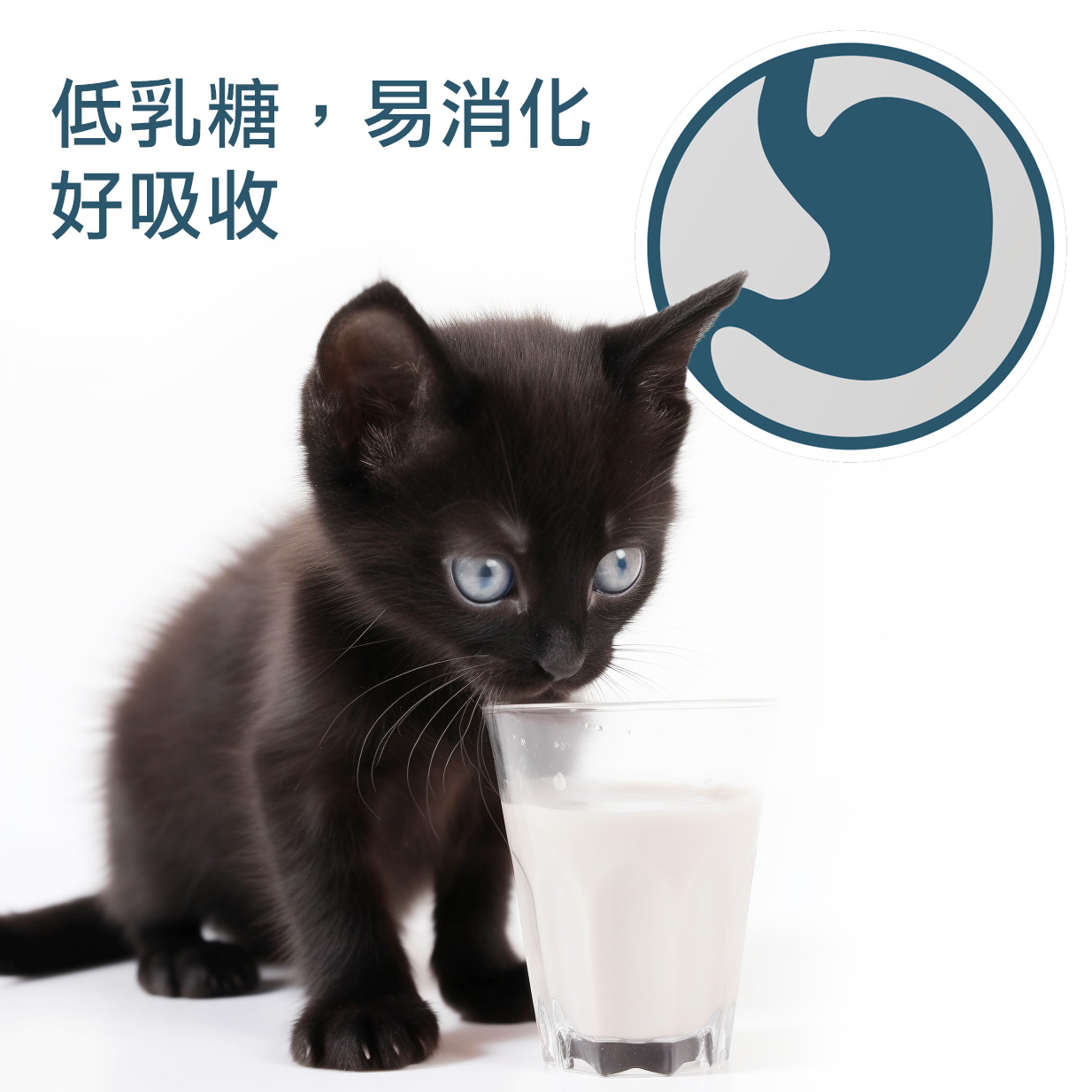 全方位羊奶粉貓狗通用｜喵探長｜台灣製造