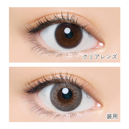 AngelColor Bambi Series - Pearl Gray (1day/10P)