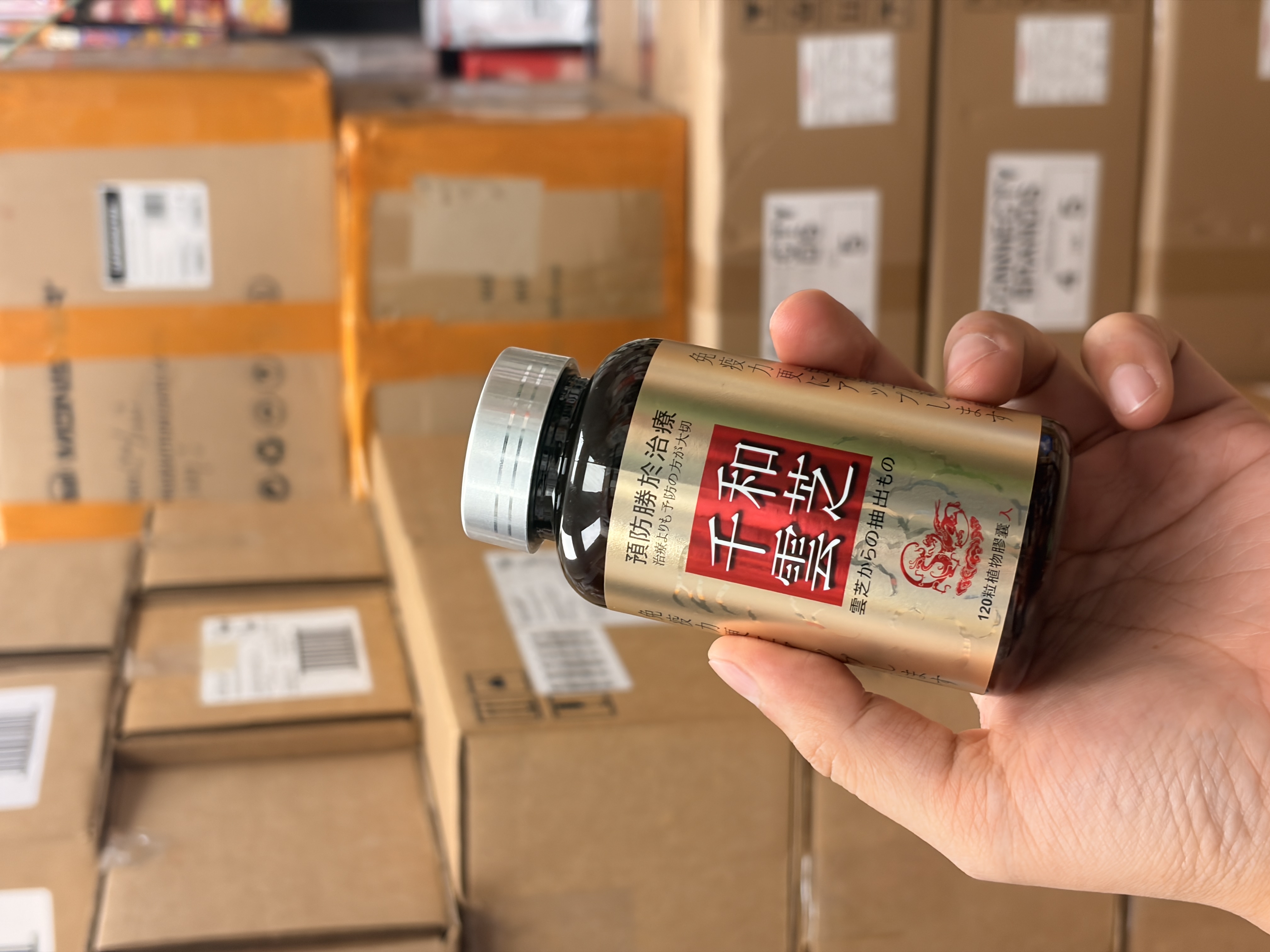 千和雲芝（120粒裝）