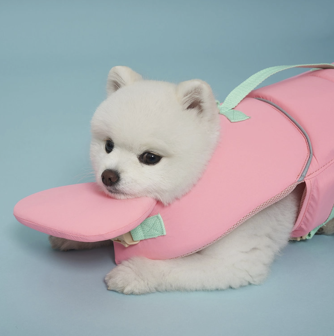 *SuperPet 🇰🇷 夏日必備 Joyful 狗狗救生衣