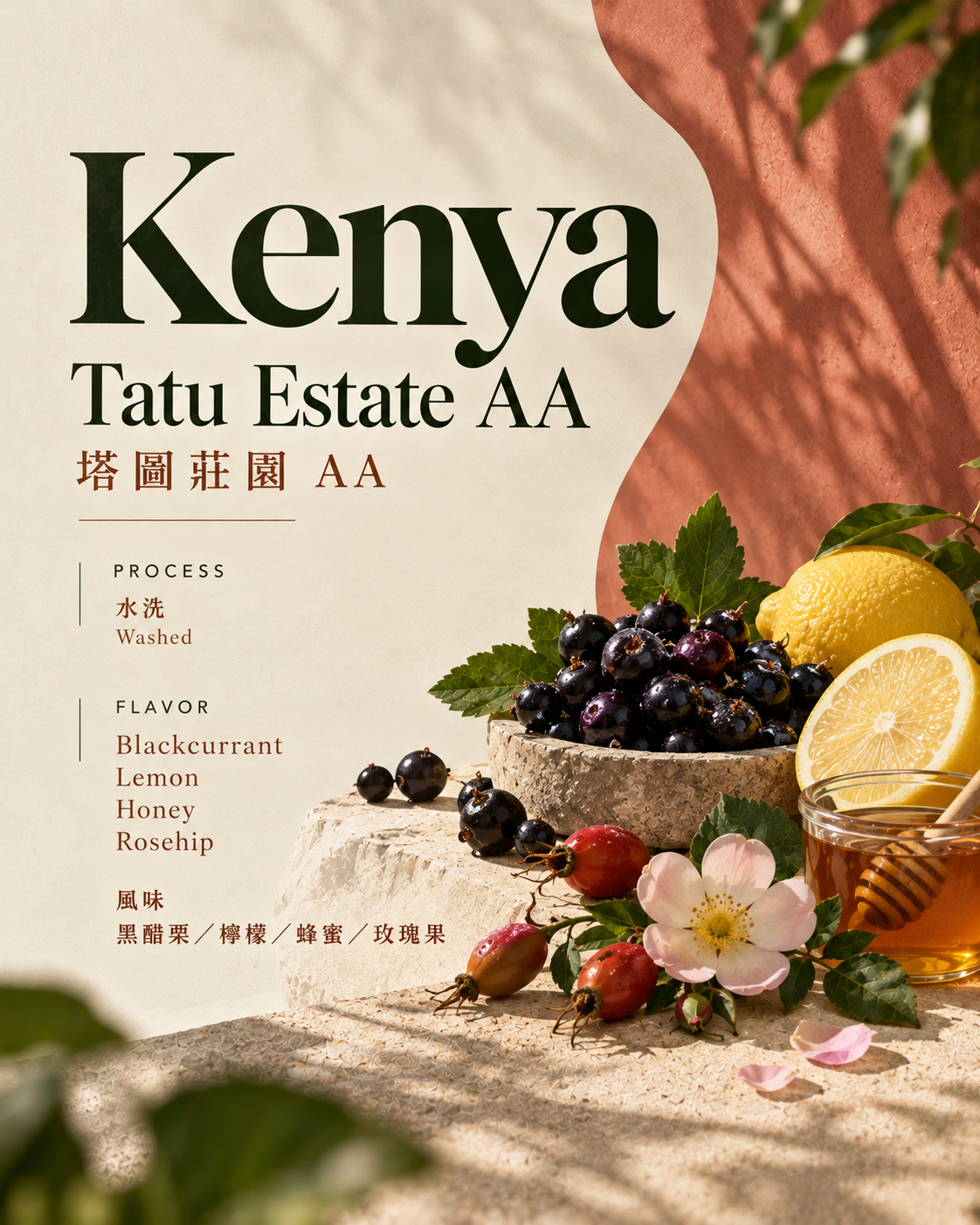 【Kenya 肯亞 】Tatu Estate AA