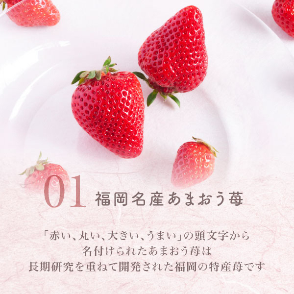 日本直送 日本福岡必買伴手禮 風美庵甘王草莓夾心蕨餅