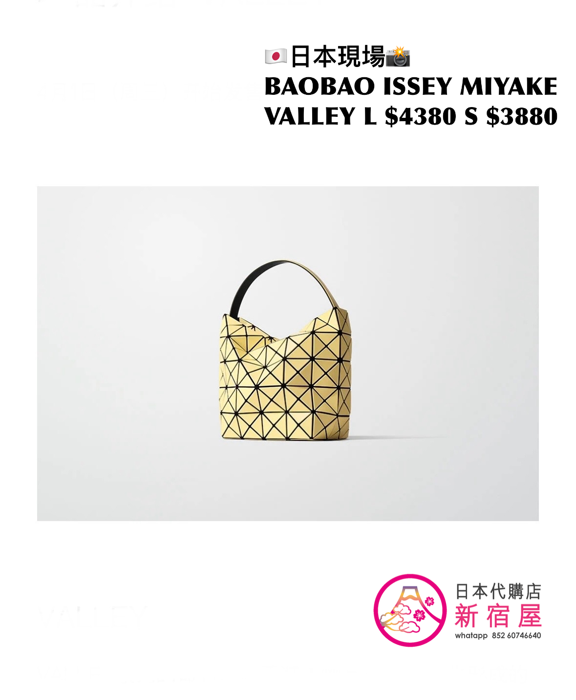 BAOBAO ISSEY MIYAKE VALLEY S/L