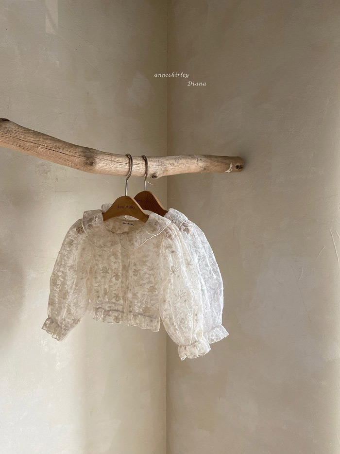 🇰🇷Anne shirley blouse