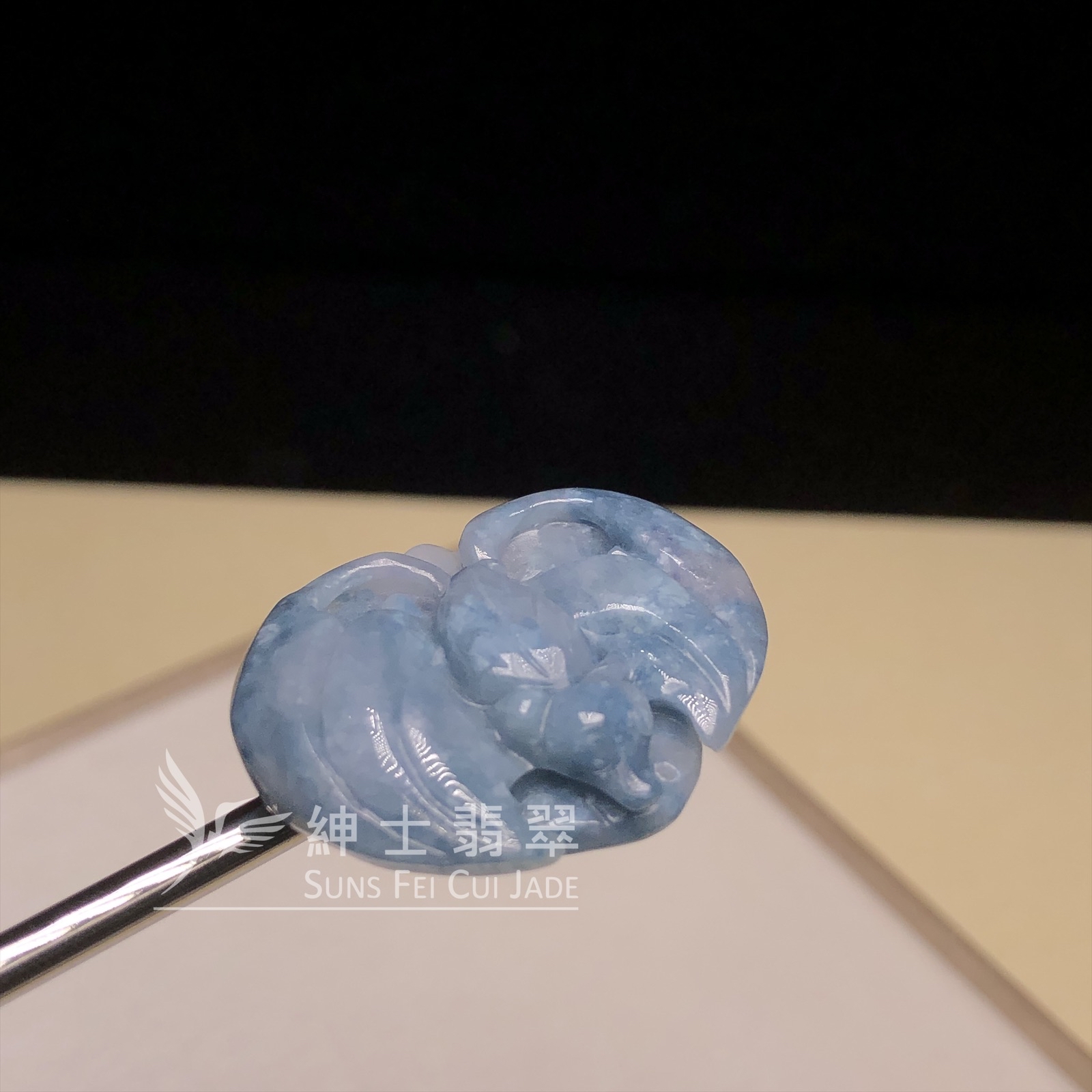 茄紫飄藍花福鼠  B08457