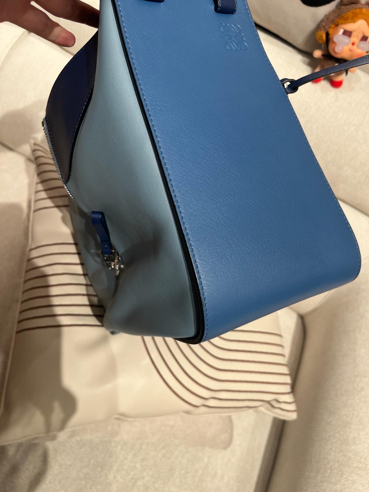 Loewe hammock medium calfskin牛皮 100%Authentic ,98%new✅dust bag