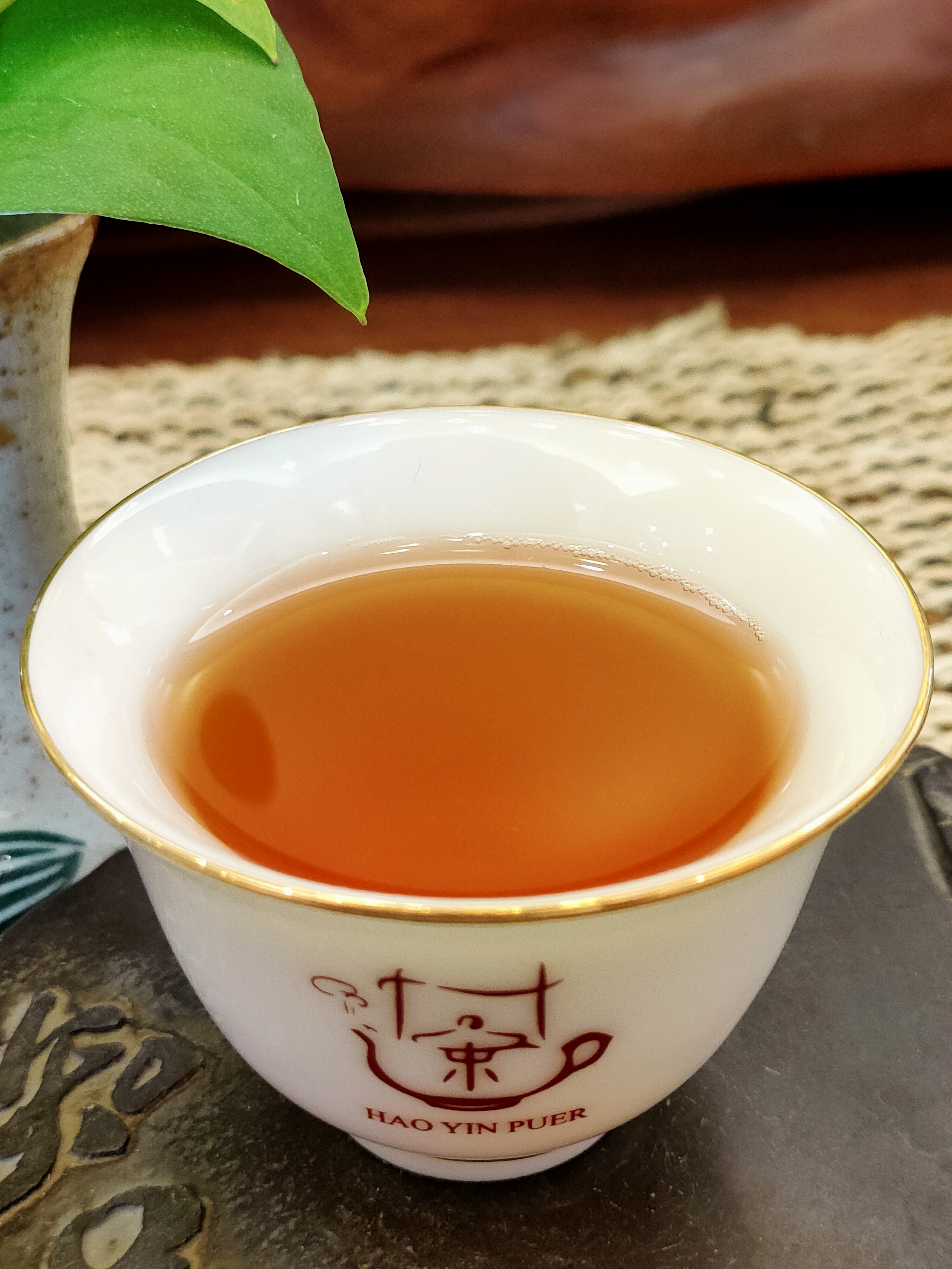2009年 早春 - 布朗山大樹茶