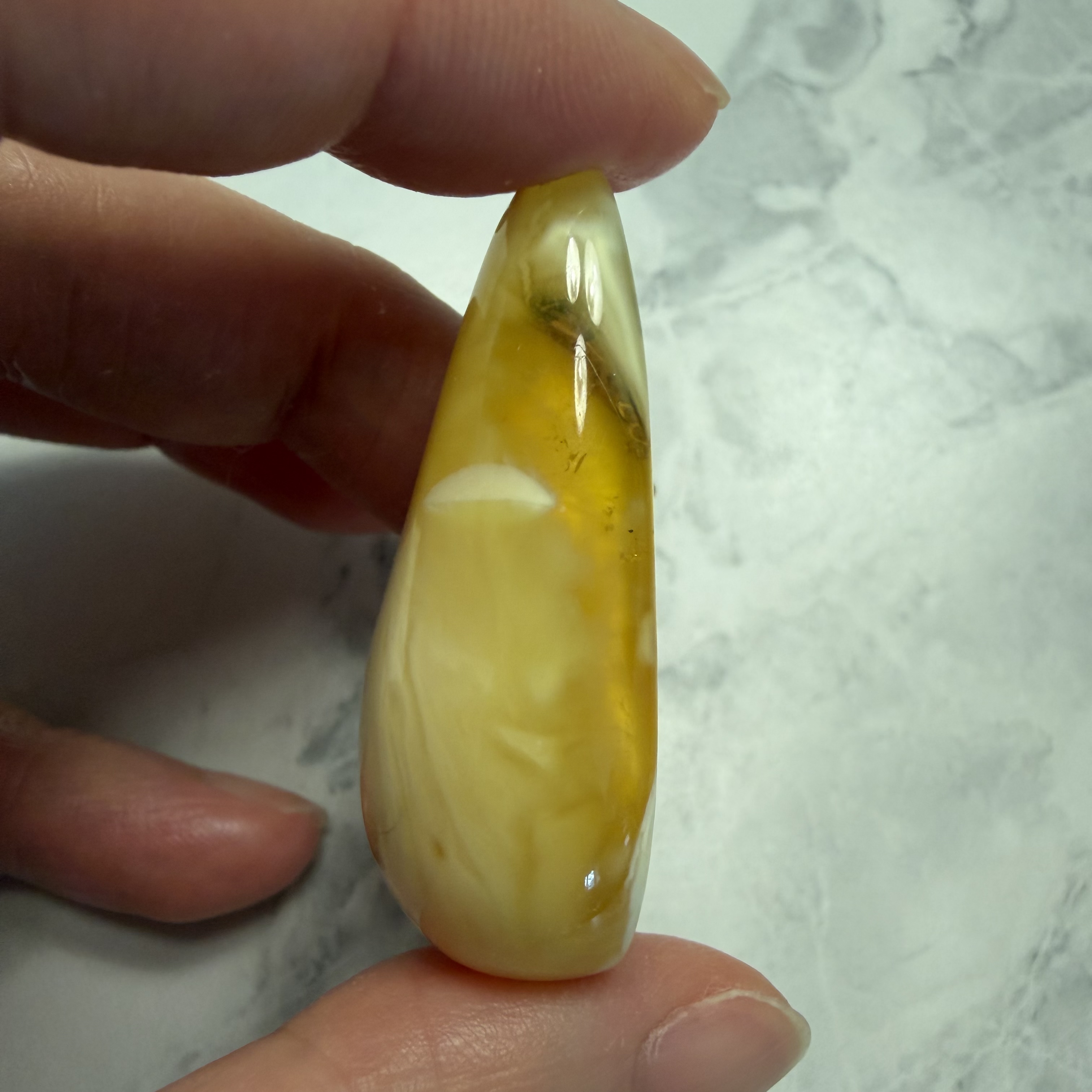 ［閉店一口價］波羅的海金瓷白熒光植物珀