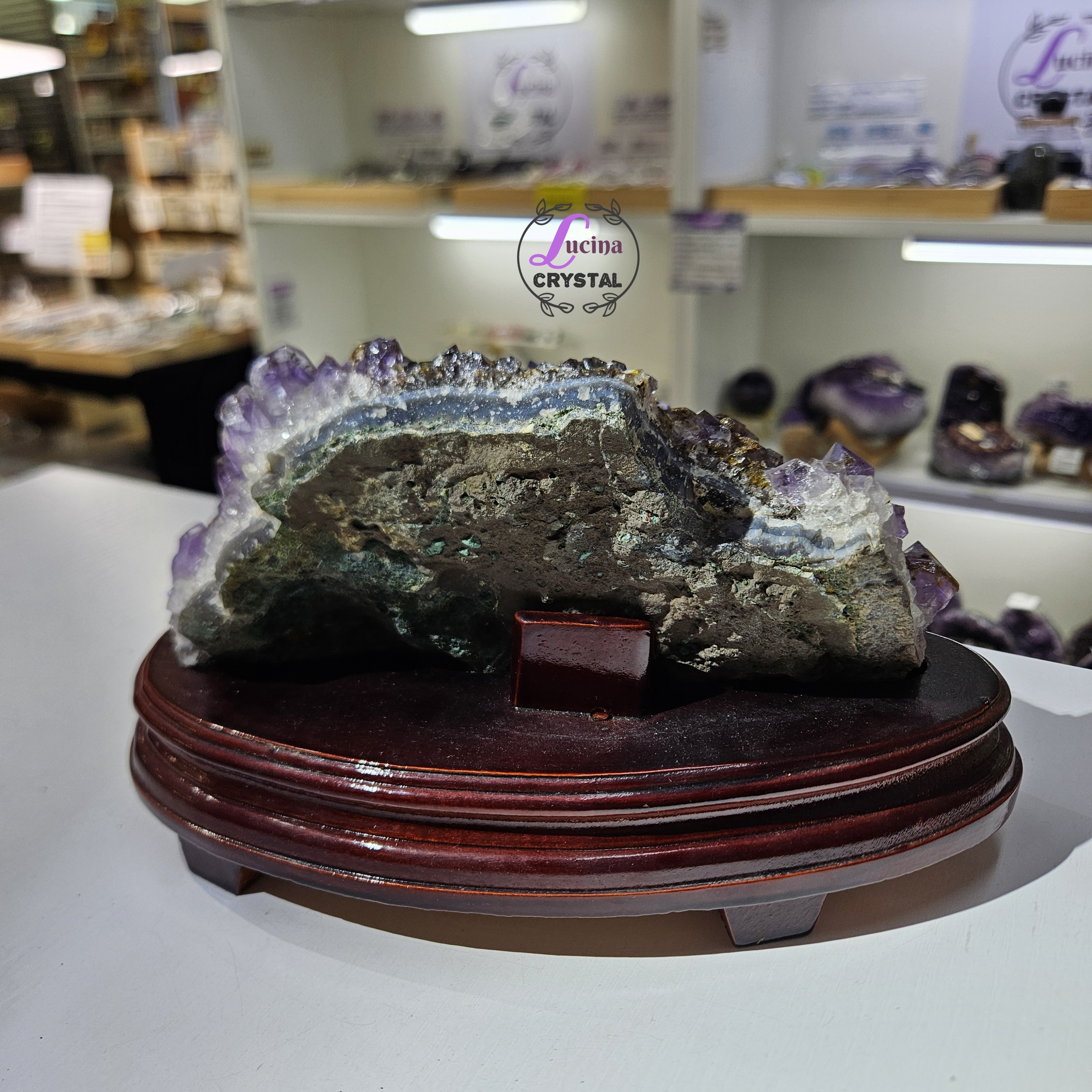 (Co#LC8556)紫鈦骨幹花水晶簇連木座/Elestial Amethyst Rutilated Flower Quartz Cluster w/wooden stand 