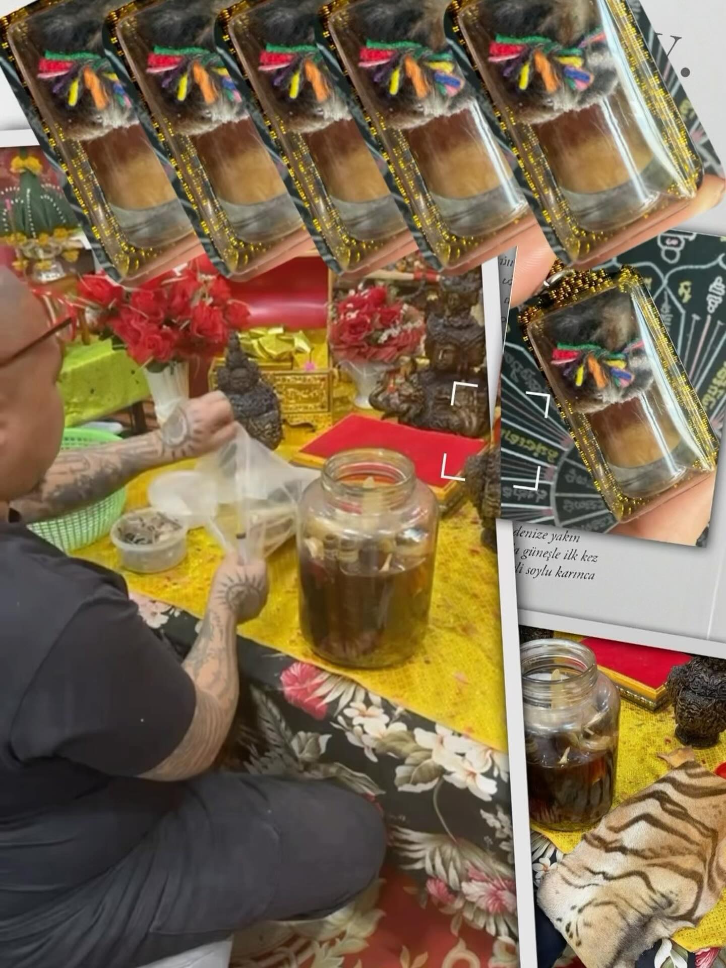 阿贊魄龍 老虎油