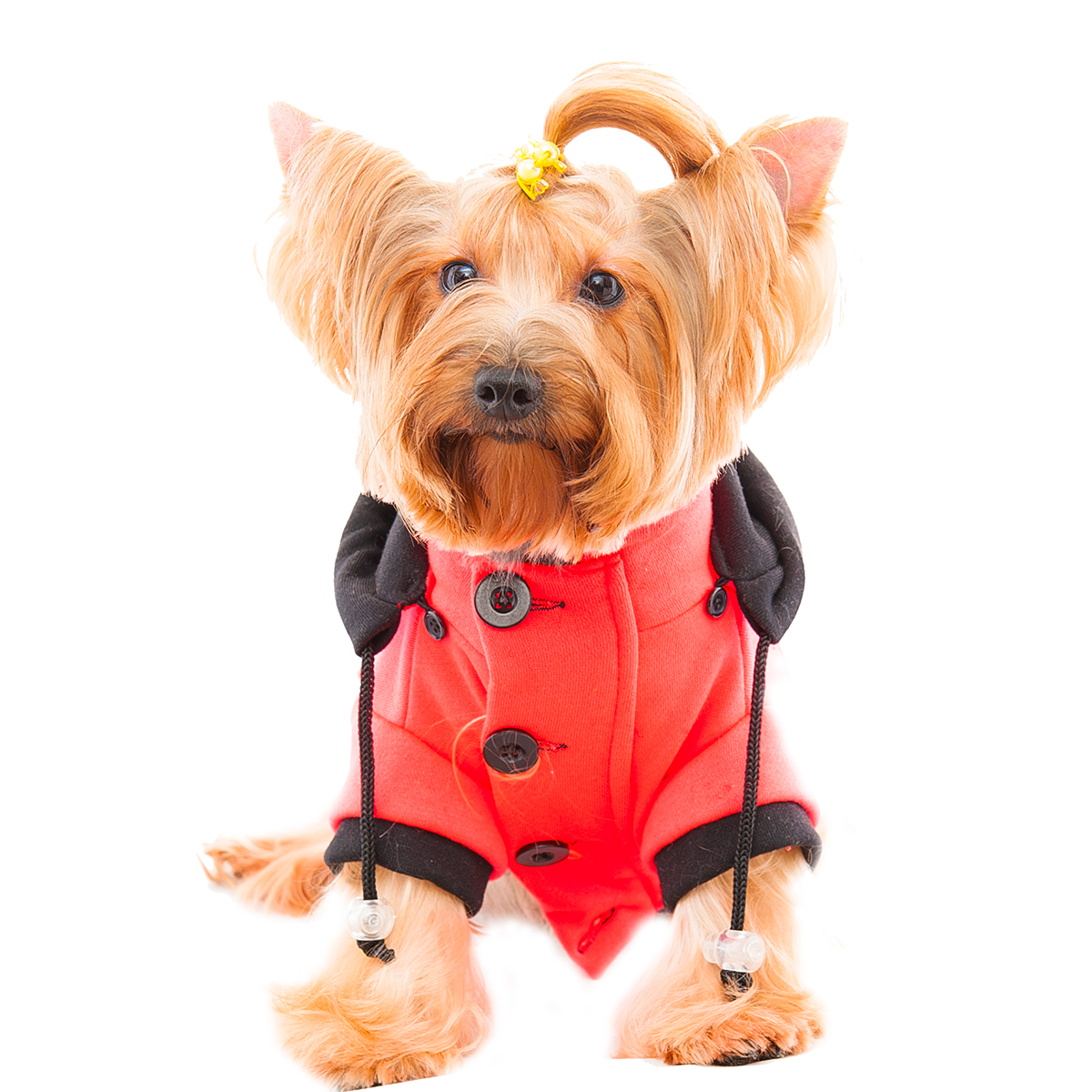 S561R DDC 衛衣外套-紅色 DDC sweatshirt jacket-red