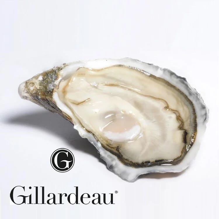 French Gilladreau Oysters Nos 2 法國吉拉多生蠔 生食用 (不設開蠔服務)