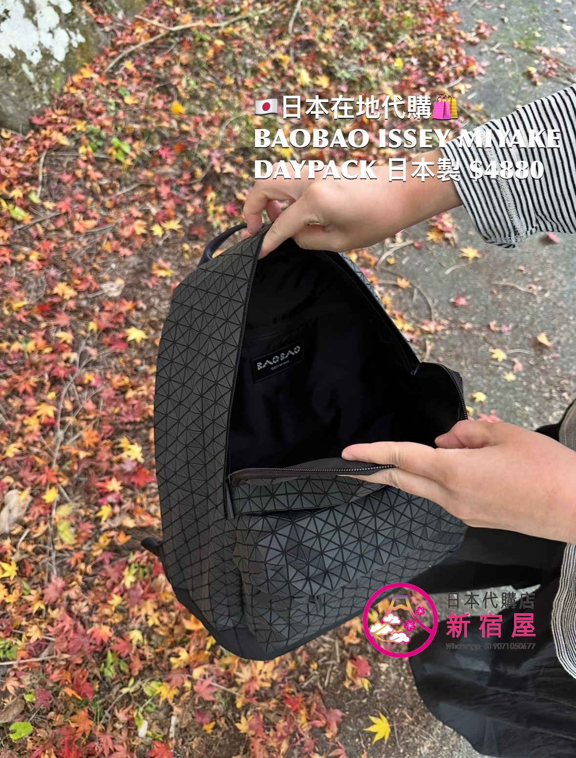 BAOBAO ISSEY MIYAKE DAYPACK