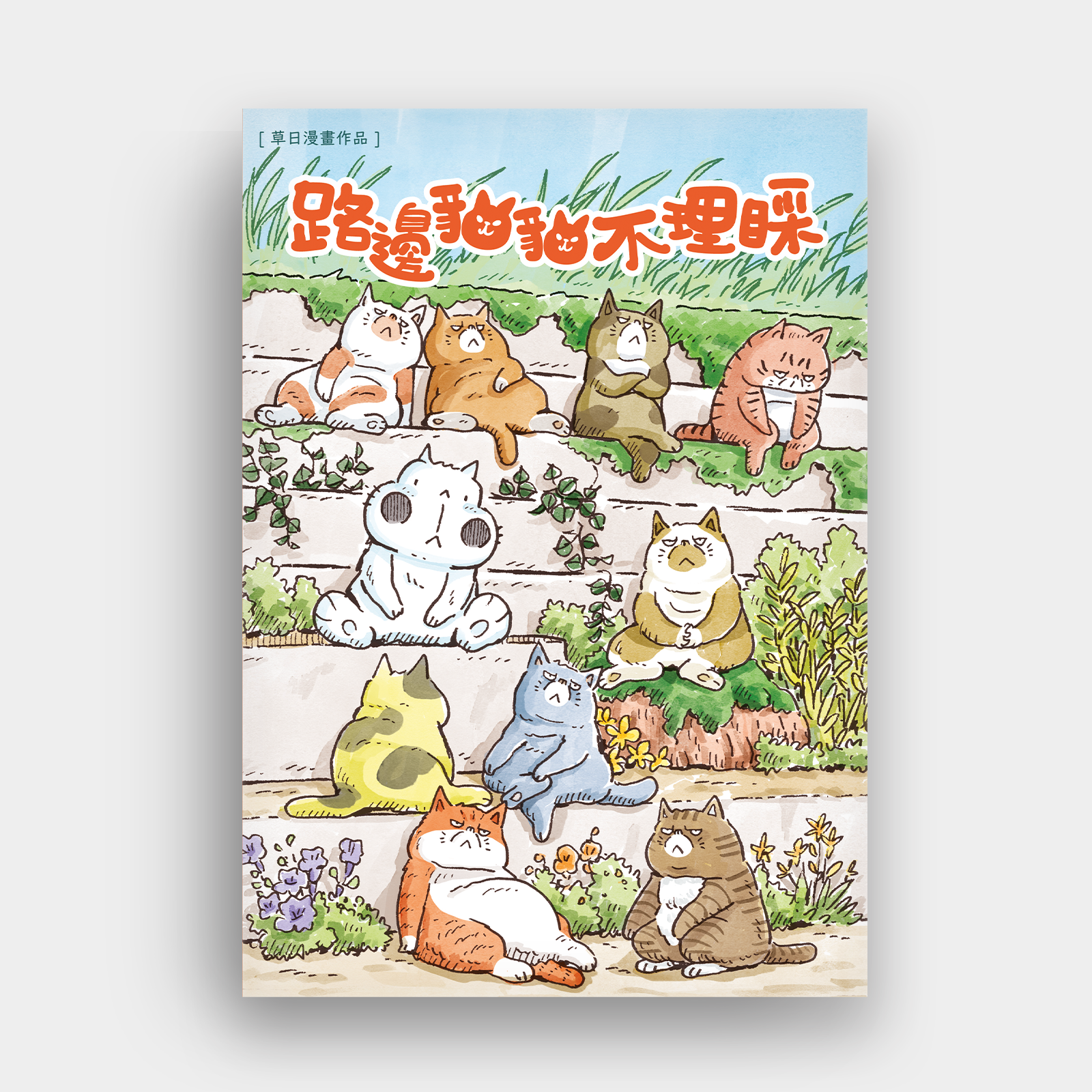 路邊貓貓不理睬