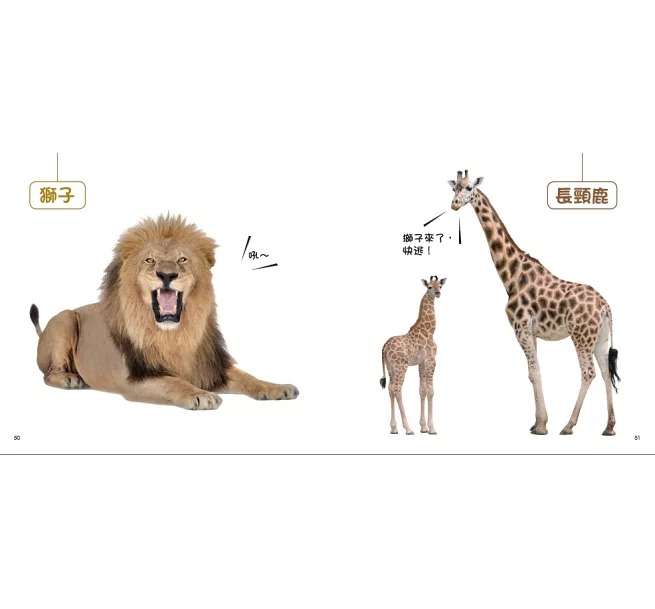 零歲BOOK 小寶寶圖典(現貨) 