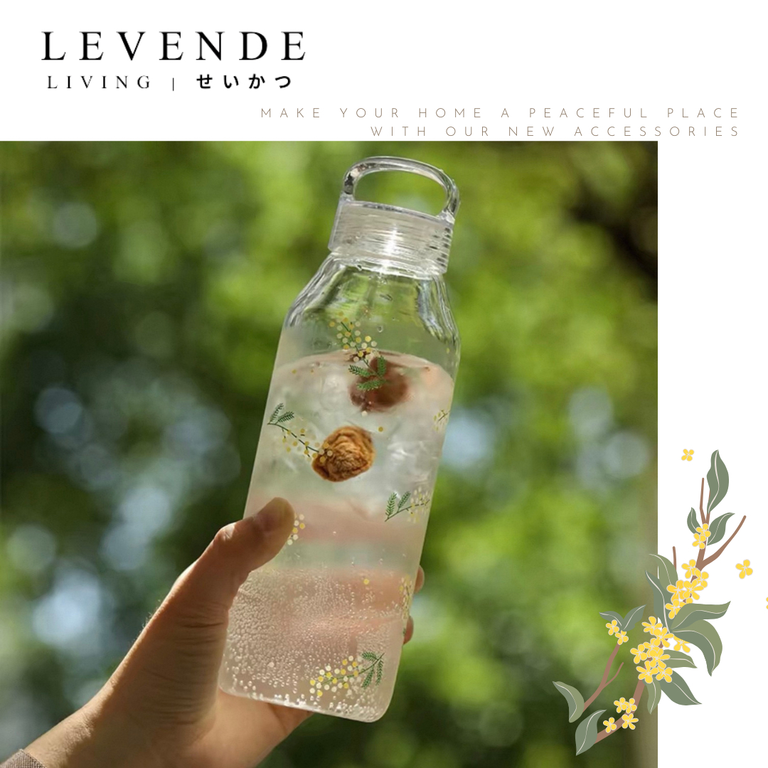 Levende 含羞草高硼硅耐熱手提玻璃瓶