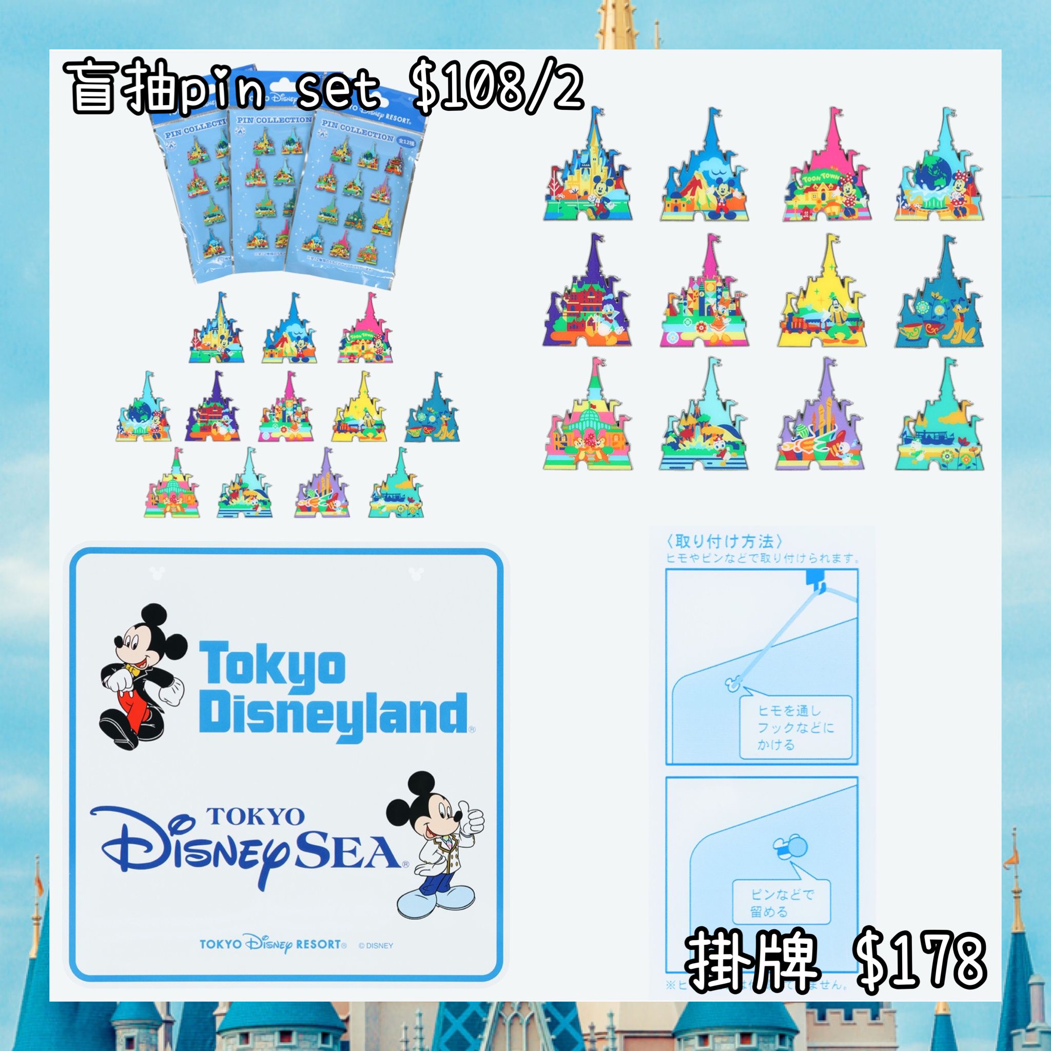 ：日本：DISNEYLAND園區產品 盲抽 PIN SET 掛牌