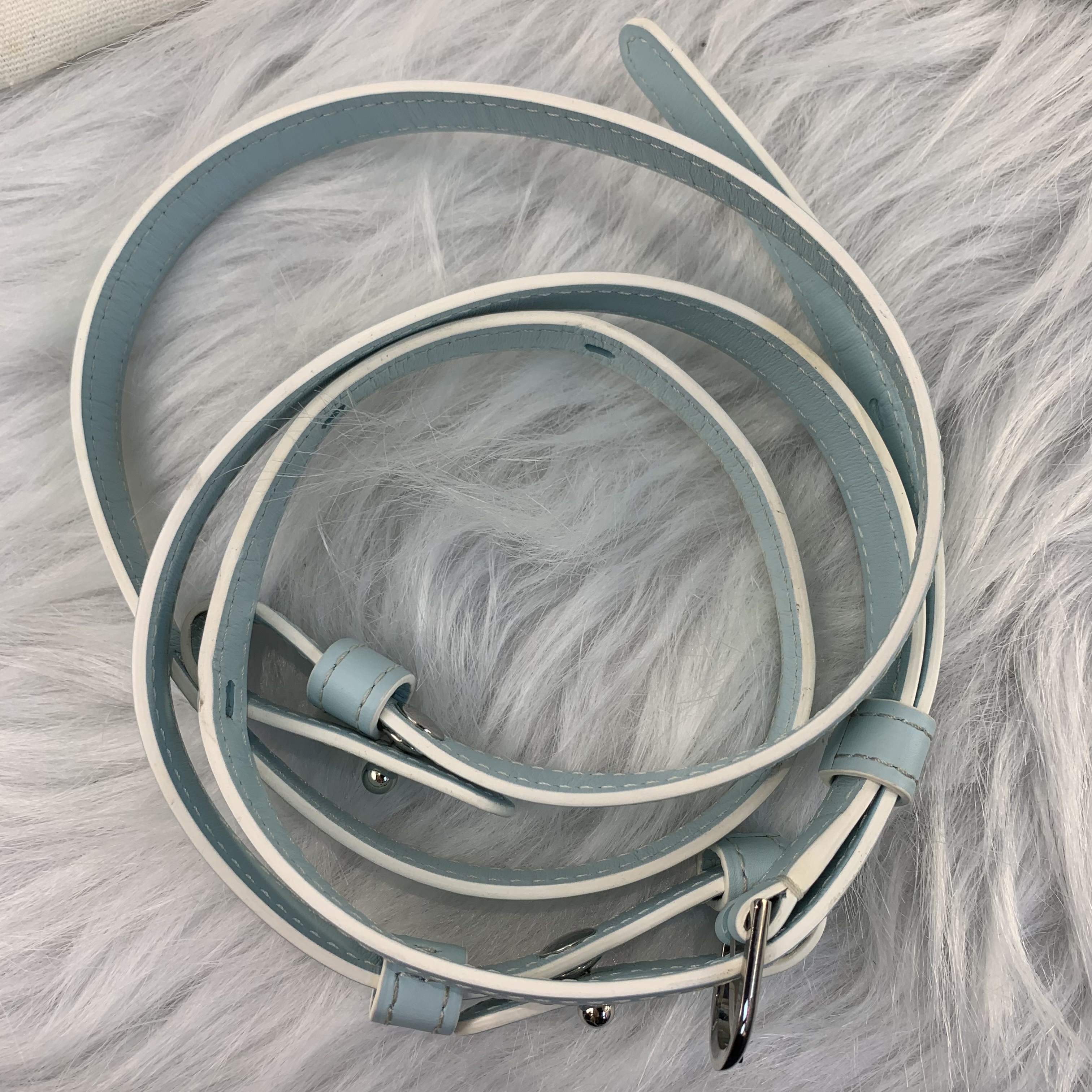 [FULL SET] Delvaux Brillant baby blue 超罕有全套🩵