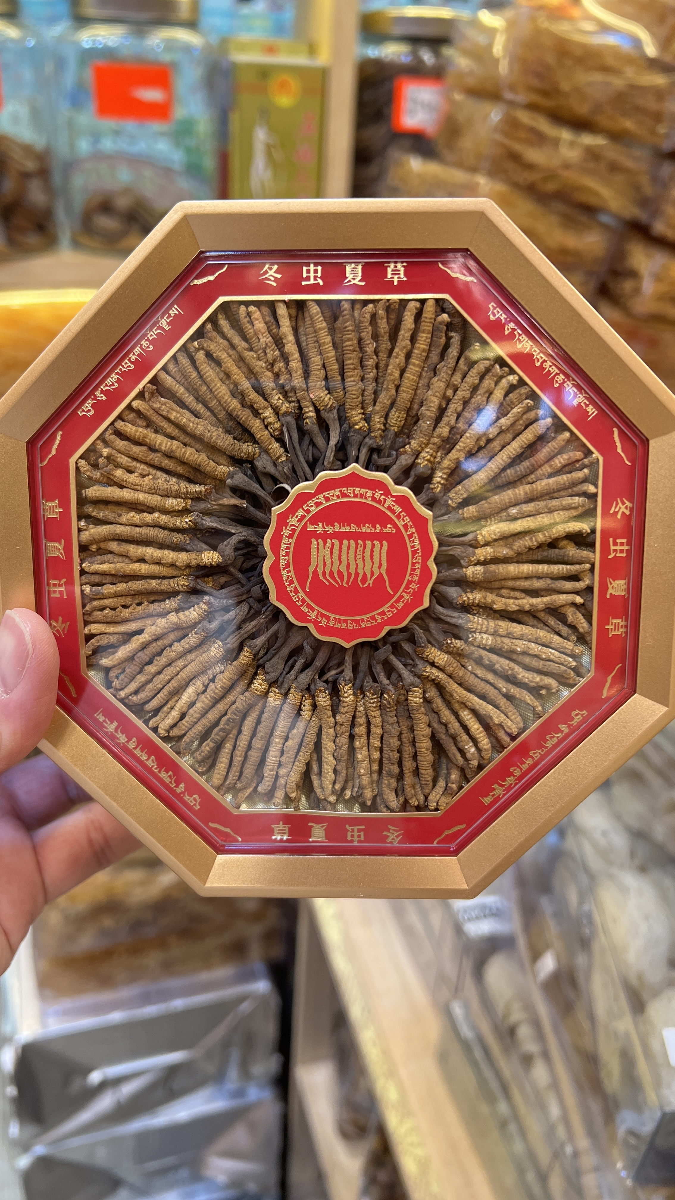 西藏野生那曲冬蟲夏草