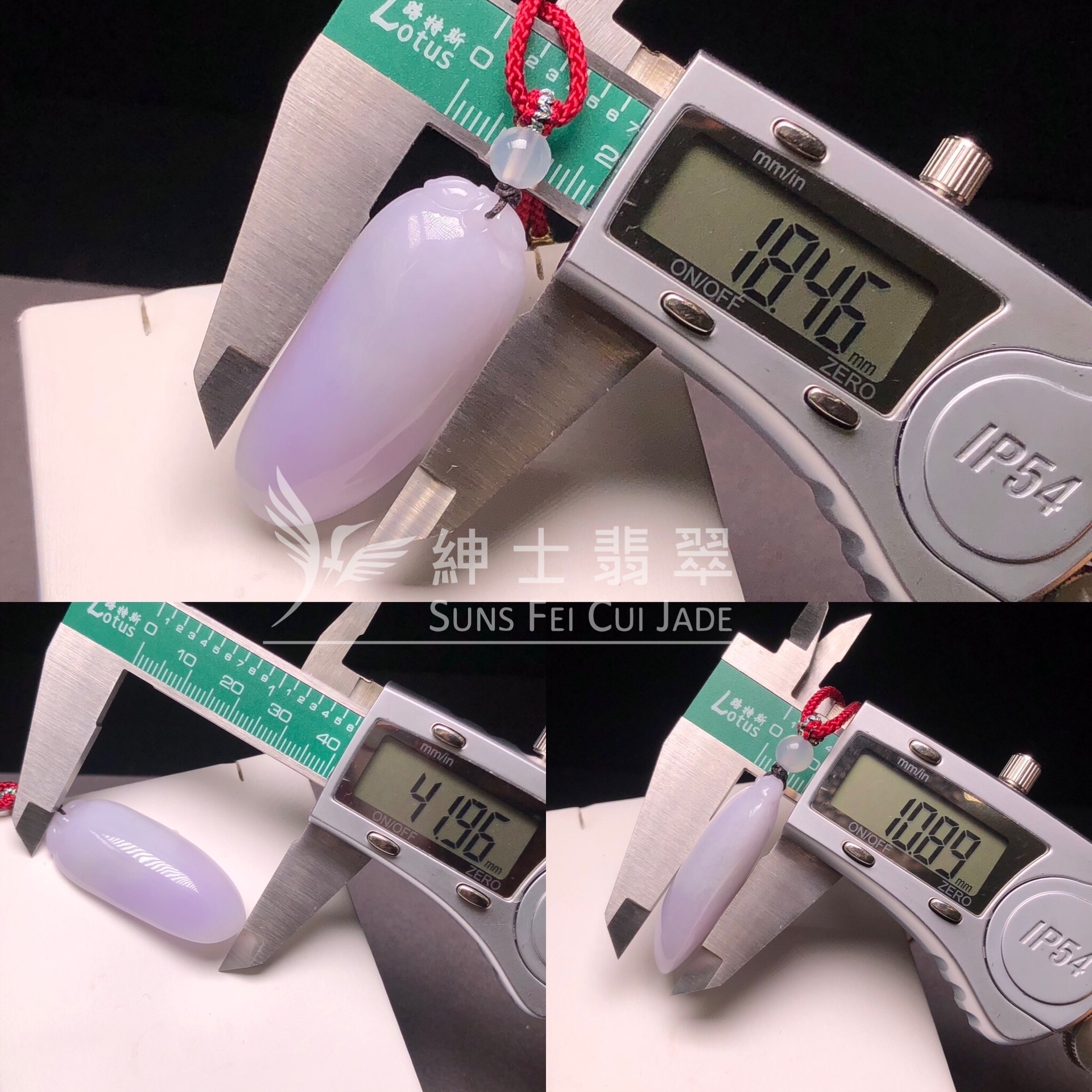B08825 紫羅蘭萬壽果