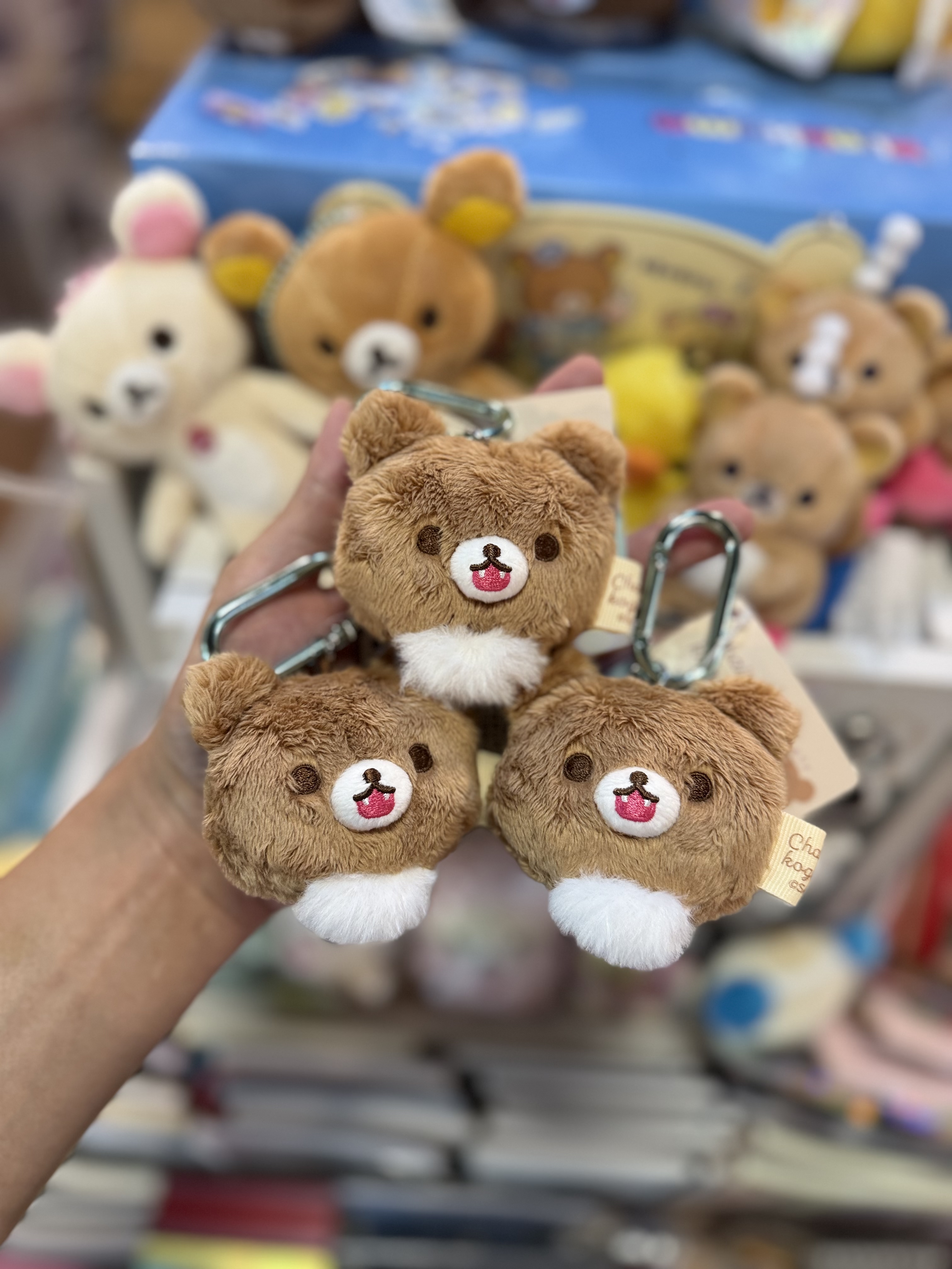 《現貨》全新日本專店限定小熊10週年小熊露牙掛飾