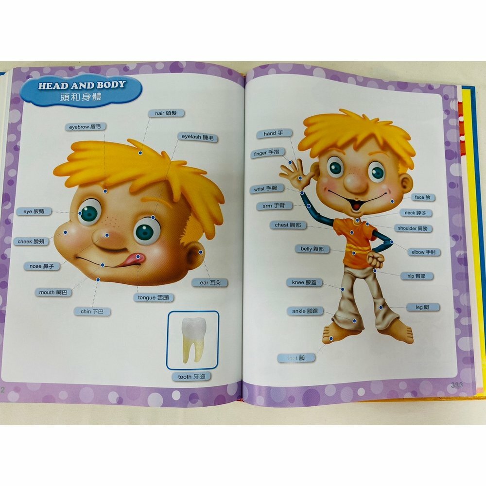 會說話的英漢圖典3000字 1巨冊 (7-12歲) -1套 現貨