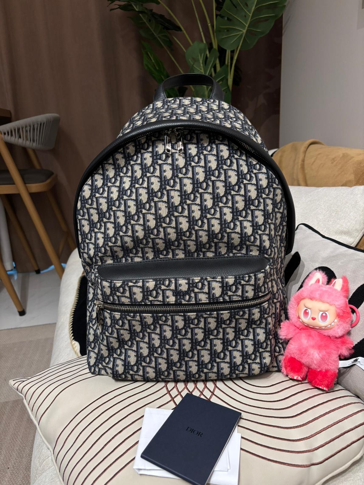 Dior Rider Oblique Backpack 100%Authentic, 98%New ✅收據✅ certificate✅Dust bag