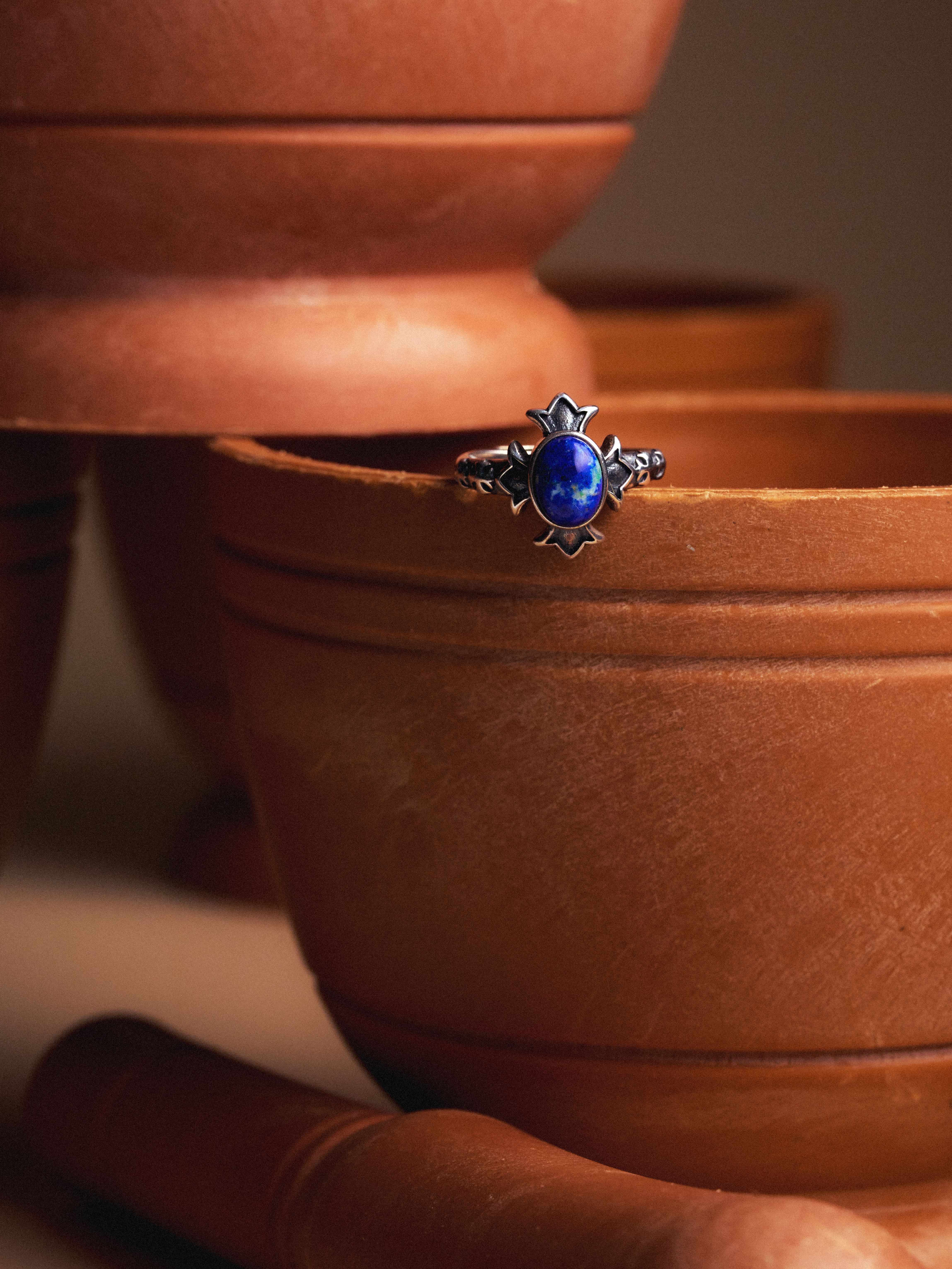 Terra Vision Ring