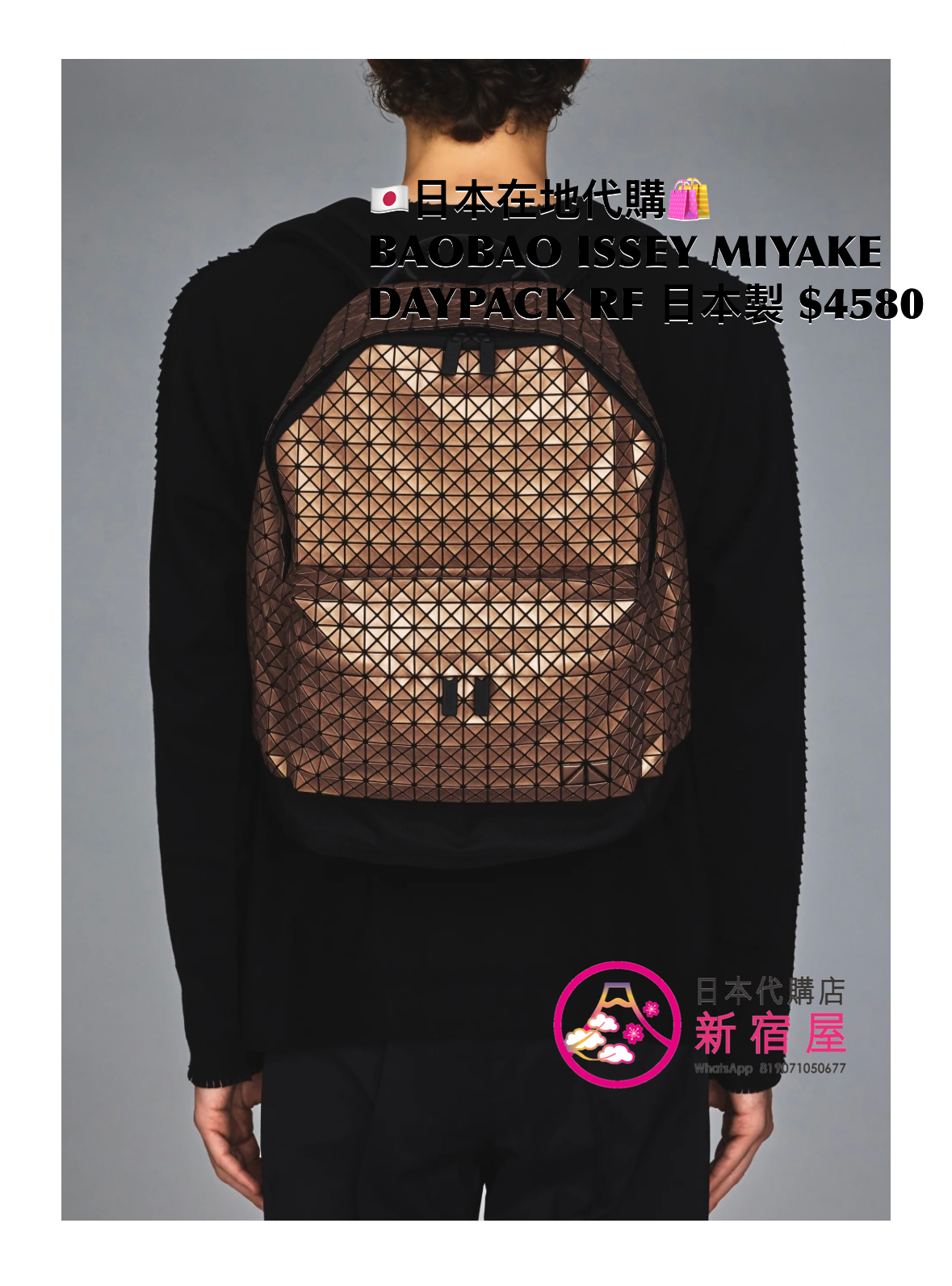 BAOBAO ISSEY MIYAKE DAYPACK REFLECTOR 