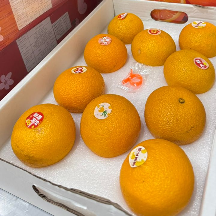 樱金蜜柑礼盒｜高糖度·爆汁·送礼首选 Sakura Gold Mandarin – Limited Edition  - 1CTN10PCS