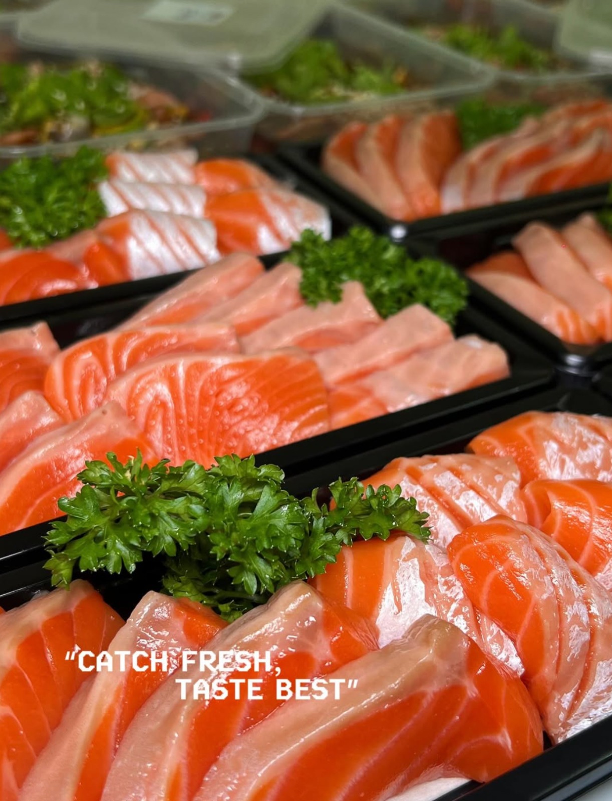 Fresh Salmon Sashimi Grade