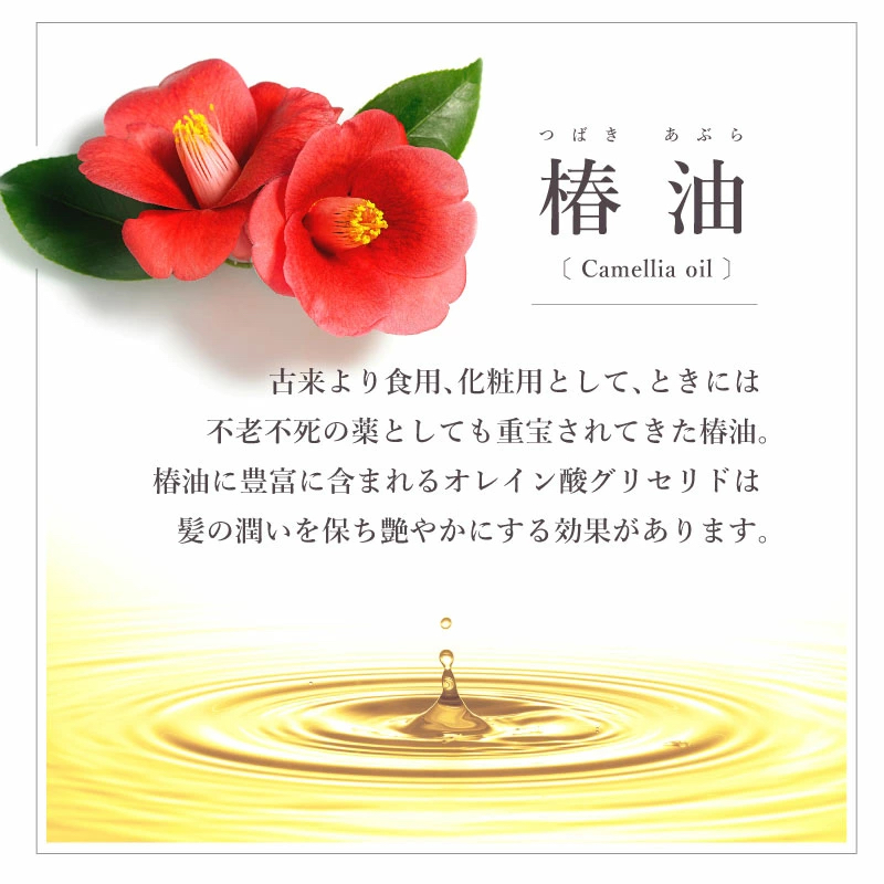 日本京都黑竹山茶精油保濕柘植梳