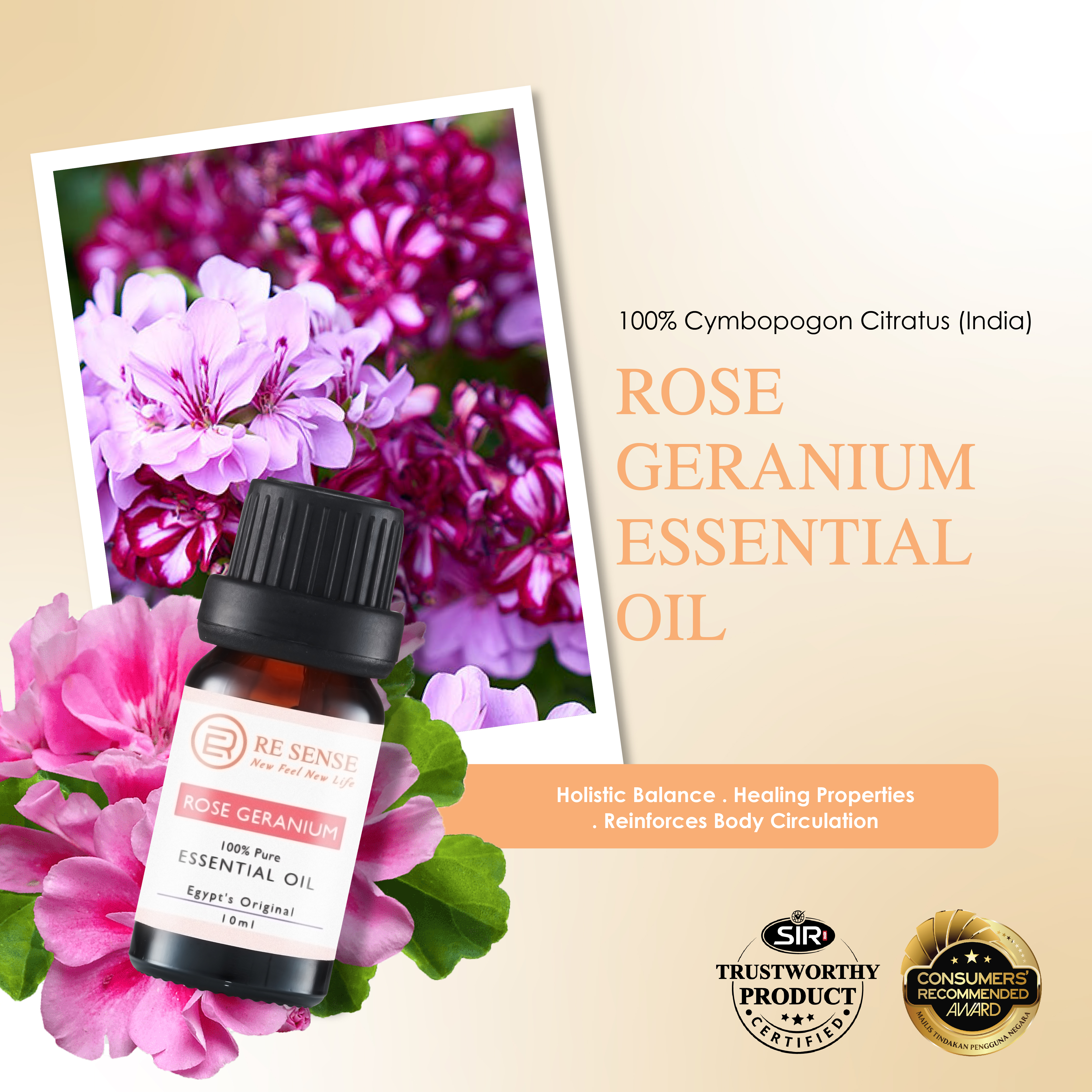 Rose Geranium Essential Oil (10ml)