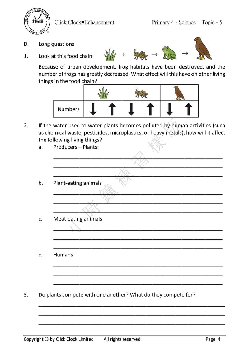  模擬試卷 (四年級)