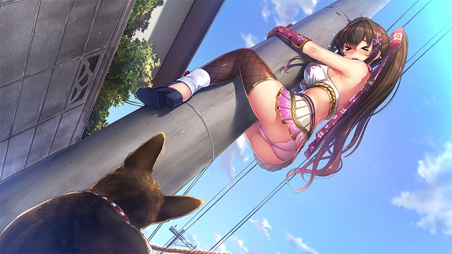 【預售 3/9】NS Days Collection: 女忍者戀愛二部曲 / Days Collection: NinNin Heroines 中/英/日文  (中文封面) NSW-4017