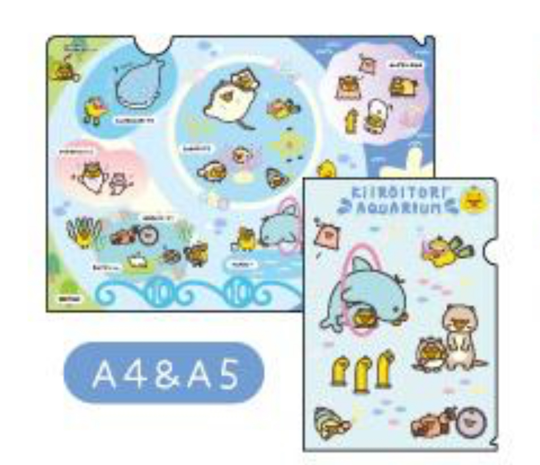 鬆弛熊 A4FILE套裝｜現貨