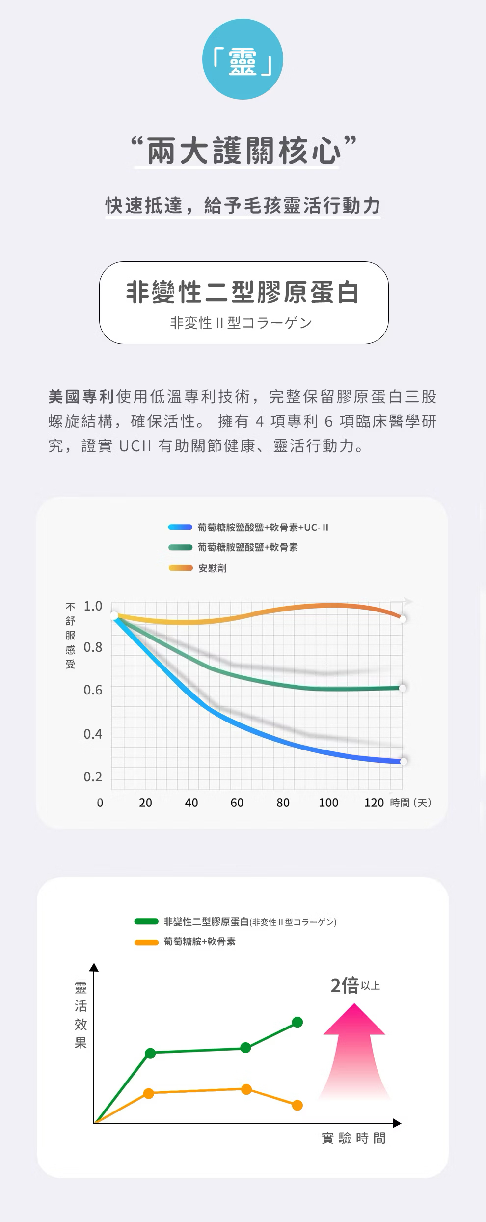 台灣動物醫院用關節保健-關節大師